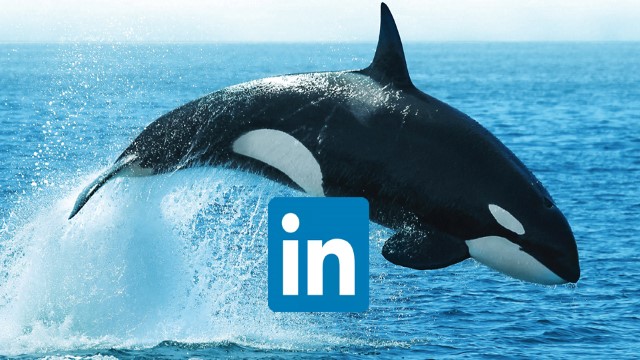 Acceso a la página de LinkedIn de Alfa Laval