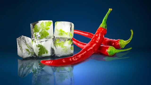 calefaccion y refrigeracion alfa laval