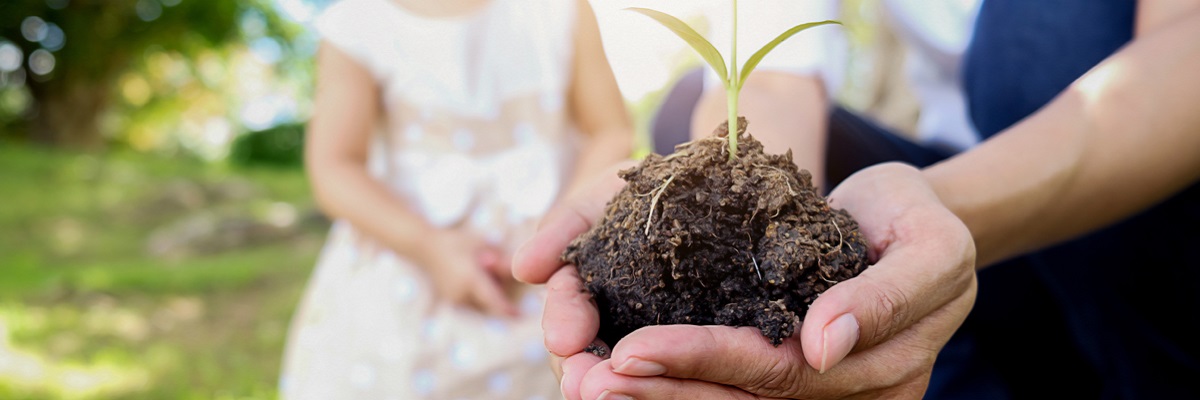 Sustainable optimization plant child adult hands