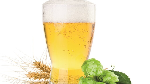 Beer 640x360